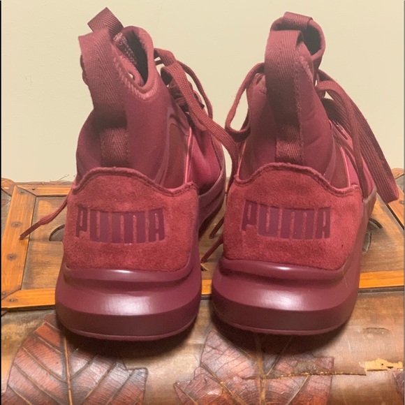 Puma - Picture 1 of 3